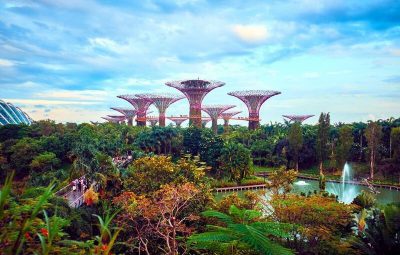 Garden by the Bay - Điểm đến không thể thiếu cho tour du lịch lễ Singapore 2/9