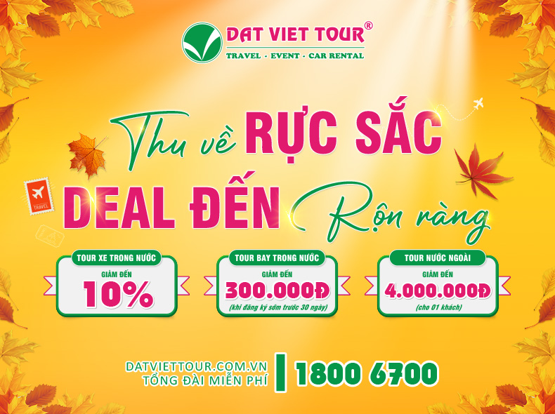 Tour mùa thu 2026